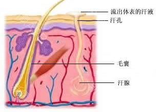 武汉伊美尚脱毛技术好吗