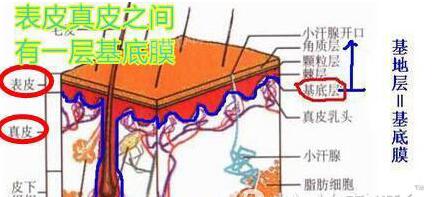 雀斑黄褐斑等斑点不同，治疗方法不同