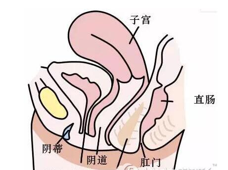 中山爱思特*全私密整形价格表